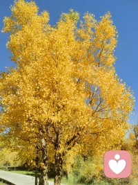 生活总要求我们懂事乐观，但偶尔，你也可以只做自己，尽情释放压抑已久的情绪。