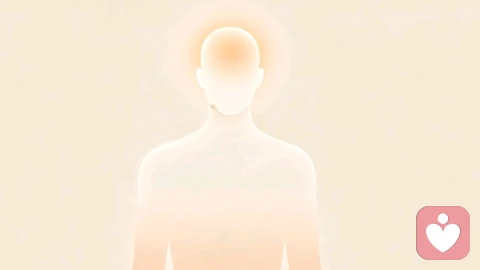人格、性格、情绪——哪一层在真正影响你的身体?