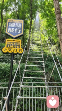 困在日常的琐碎里久了，总容易困住自己。
偶尔不必循规蹈矩，试着放纵一次，勇敢闯一闯、奋力冲一把。
跨过山径险途，战胜内心胆怯，才会发现，勇敢迈步之后，自有全新天地等你抵达。
致敢于挑战的自己，往后遇事，多一份胆量，少一份犹豫✨