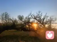 替别人扛因果，其实是一种越界。

比如在家里把所有事都揽过来：孩子的衣食、丈夫的冷暖、老人的病痛，事事亲力亲为，样样冲在前面。

后来才发现，你替孩子扛了他该摔的跤，他就学不会走路；你替丈夫扛了他该担的责，他就活成了甩手掌柜。

你给别人扛了他的命运，他就失去了成长的机会。表面是爱，实质是剥夺。 （转）