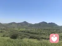 年岁渐长才慢慢懂得，人生从无捷径可投机。那些靠取巧短暂换来的所得，无论物质或是情感，终要以另一种形式偿还，无人例外。

年少时总想走捷径，待到回头方才醒悟：所有投机里，亏欠最深的从来都是自己。

人本不具备凌空飞翔的本事，侥幸暂时腾空未遇波折，未必是福气。

凡事一分一分踏实去做，收入一分一分踏实去挣，认真安顿本心，细细体会日常。在合适的年纪，慢慢沉淀出能支撑自己的智慧，便是此生难得的幸运。（转）
