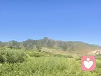 年岁渐长才慢慢懂得，人生从无捷径可投机。那些靠取巧短暂换来的所得，无论物质或是情感，终要以另一种形式偿还，无人例外。

年少时总想走捷径，待到回头方才醒悟：所有投机里，亏欠最深的从来都是自己。

人本不具备凌空飞翔的本事，侥幸暂时腾空未遇波折，未必是福气。

凡事一分一分踏实去做，收入一分一分踏实去挣，认真安顿本心，细细体会日常。在合适的年纪，慢慢沉淀出能支撑自己的智慧，便是此生难得的幸运。（转）