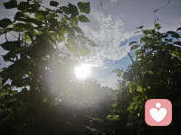 放下，是自我的救赎
顿悟，是自我的成长
缘分，是自我的契机
当下，是自我的回报
心心相印，唯有爱是永恒！