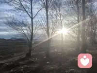 收好钱袋子，不被亲情道德绑架，迎接暴风雨来临，才能安生度命。