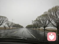收好钱袋子，不被亲情道德绑架，迎接暴风雨来临，才能安生度命。