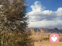从别人那里听来的、看来的永远叫“知识”。“智慧”是一种靠自己的行动带给自己的领悟和体会，无法言传。