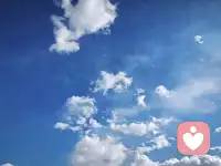 从别人那里听来的、看来的永远叫“知识”。“智慧”是一种靠自己的行动带给自己的领悟和体会，无法言传。
