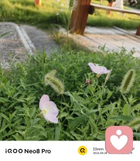 杀死内心的恐惧：

看清你害怕的，其实都是假象 
恐惧，是人最深的牢笼。
它让你不敢前进、不敢表达、不敢选择。

怕什么，就去直面什么。
哪怕双手颤抖，心跳如雷。
也要硬着头皮迎难而上。

别让恐惧成为你的枷锁，你值得拥有自由快乐
如果你过去直到现在过得不开心
任何困扰你的点，走不出来，
记得私信我
为只有放下过去 才有新的未来