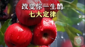 改变人一生的七大定律