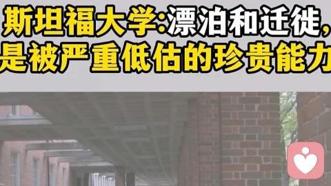 漂泊和迁徙是被严重低估的珍贵能力。