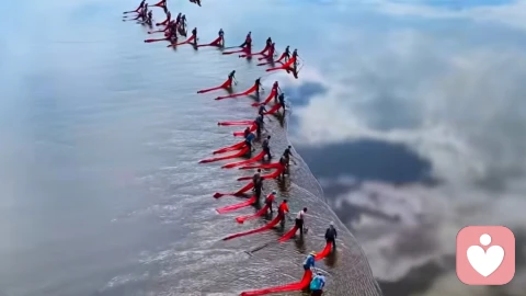 心里咨询师有一种累，是他人很难看见的。（不是听了多少负面痛苦，而是忍下这四个冲动）