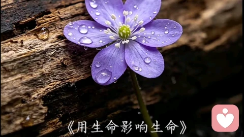 真正的爱孩子,不过就作好这两件事儿