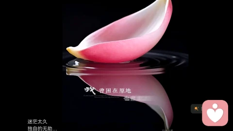 人生的清醒 在于看透本质(爱情,婚姻,家庭,职场,教育,养老…每一项都有其内在的核心)