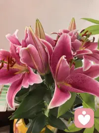 人生没有失败，只有做对和成长。做对了就庆祝，做错了就当做成长！
我们看问题的角度，决定了自己的世界！🌹