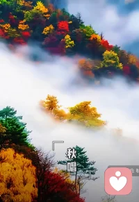 <快感>                                             <开心>

*短暂的刺激                                      *长久的满足
*靠外界给                                          *从心里长
*快感过后是空虚                               *开心过后是丰盈

❤开心是发自内心的丰足和喜悦的！