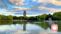 身边极度聪明的人是什么样子