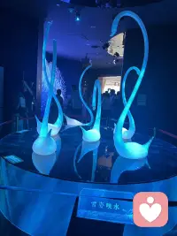 保持清净心，
就像你每天给花换水一样，不停净化我们的身心，
去掉变质的，不好的杂念，就可以了。