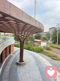 积善缘，本质也是善待自己。你对待世界的方式，终会回到自己身上。待人宽厚，少怨恨、少计较，内心就少很多内耗。常常计较是非，心里装满怨怼，身边便容易聚拢矛盾；常怀善意，懂得体谅，身边自然多温暖的人和事。善缘不是求回报，不是做善事就一定要得到回馈，而是在善待他人的过程中，抚平自己内心的戾气，让心境变得平和安稳。