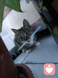 她也心疼我

抢走我的笔

让我歇一歇