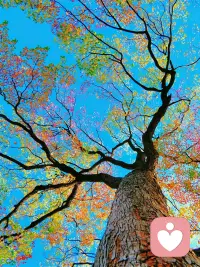 情绪没有对错，只有存在；
疏导不是消灭，而是学会共处。