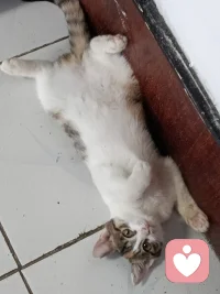再看我就把你

装进口袋