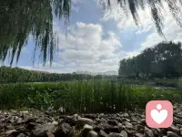 那些浓烈热忱、满心奔赴的偏爱从不是缺点，只是你把真心毫无保留摊开。
错的从不是你的深情，是遇不到懂得承接这份厚重爱意的人。爱本该容纳柔软、牵挂与在意，真正契合的人，会视你的吃醋、惦记为难得赤诚，而非负担。
不必收敛本性去迎合谁，刻意压低热情换来的好感本就廉价。先好好善待自己，等一个能接住你所有敏感与温柔的人，你的满心热忱，终会被妥善珍藏。[感谢][感谢][感谢]