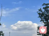 控制欲
你的所有控制手段，都是建立在对方“害怕失去某样东西”之上的。一旦对方不再害怕失去那些东西，你所有的控制手段就都失效了。你可以在生活中检验这个结构：你曾经因为害怕失去某段关系而维持着某种姿态，一旦你不再害怕失去它，你就不再需要以那种姿态来维持它了。