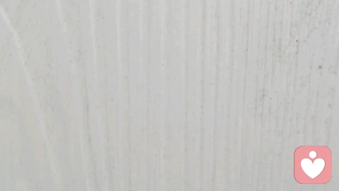 陪伴