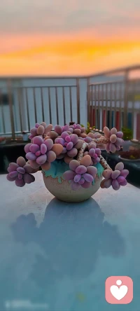 最近很喜欢这一段话:
生活各自不易 各人所求不同 各自立场不同
勿在别人心中修行自己 勿在自己心中强求别人
