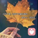 安禾的头像