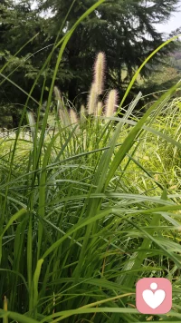 晚上，坐在床上，静静聆听一段舒缓的音乐，拿起床头柜放着的那本书。

没有嘈杂喧嚣的声音，没有纷繁复杂的交际，享受一段安静漫长的夜晚是一种平凡的幸福。

让自己的心沉下来，让自己的脑静下来，不去考虑那些功名利禄，不去关注那些复杂的情感，单纯的回归自我，你会发现原来世界可以这么简单平静而美好！

保存自己的能量，感受简单的快乐。
