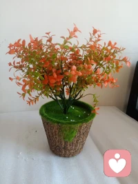 人这一生，总有一些心事，无处安放。
身边的人，大多习惯给建议、讲道理，却很少愿意静下心，好好听听你的内心。
 
很多时候我们需要的不是解决方案，只是一份接纳与懂得。允许你脆弱，允许你难过，允许你把积攒已久的情绪释放出来 。
 
我愿意做那个安静的倾听者。不评判、不说教、严格保密。无论生活、家庭还是内心的纠结，你都可以放心诉说。不用急，我们慢慢聊。