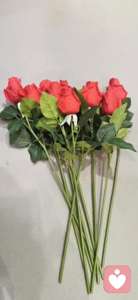 很多痛苦，是因为心事无人可诉。
不必逼自己一直坚强，你的脆弱也值得被善待。
我不灌输大道理，只用心倾听、全然接纳，守护你的秘密。心里压得难受，就来这里说一说，我一直在。