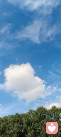 亲爱的
人家浪漫多像一朵花
想要开鲜花
总要学会清泥沙