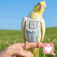 思绪乱飞完全停不下来的时候，试着平躺然后缓慢深呼吸三次后正常呼吸，接着默念”空”，把注意力放在呼吸上