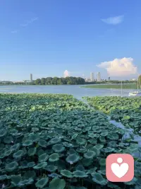 今天刚接待一位善良心思细腻但是比较容易自我批评姐姐倾听通话，最大的感受是女生一定要先肯定自己，爱自己，不要太在乎别人对自己的评价，多按照自己的舒服的方式生活，如果你都不开心了，你的小世界都会是下雨天. 
安全感和爱永远都是自己先给自己的，当别人看到你对待自己的标准这么高，别人也会不自觉的提升对待你的标准。取悦自己，爱自己真的是每个女生终身的课题，当你开始忽视自我意识甚至责备自我意识的时候，有我在，我会陪着提醒你才是最重要的
（同时给每个在自我怀疑和不安的女生一个大大的拥抱🫂）