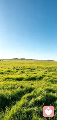 被误解是表达者的宿命，想说什么，请大大方方清晰的表达。