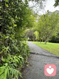 空山新雨后，天气晚来秋