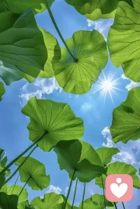 ### 《我不愿意承认我错了》

你有没有过这样的时刻？

明明事实摆在眼前，心里却还在拼命反驳：
“不可能，一定是哪里搞错了。”

这不是简单的嘴硬，而是心理学所说的**认知失调**。

美国心理学家**利昂·费思廷格**认为，人内心有一种强烈的需要：希望自己的想法、行为和信念保持一致。

当现实和我们的判断冲突时，心里就会不舒服。
为了消除这种不舒服，我们常常不是去承认错误，而是去**合理化错误**。

比如：

- 买了很贵的东西，发现不好用，却拼命找优点；
- 选错了方向，却告诉自己“已经走到这里了”；
- 明知一段关系不合适，却反复说服自己“他也有好的地方”；
- 明明证据很清楚，却宁愿相信一个让自己舒服的解释。

费思廷格的经典实验也说明了这一点。

当一个人做了一件和自己真实想法不一致的事，如果外部理由不够充分，他就更容易改变内心态度，让自己相信：“我这样做，其实也有道理。”

所以，很多时候我们捍卫的不是真相，而是那个“我没有错”的自我形象。

承认错误之所以难，是因为它意味着：

- 我之前的判断可能是错的；
- 我的投入可能白费了；
- 我要面对自己的不完美。

这种心理冲击，比继续自欺欺人更痛。

但真正的成熟，不是永远正确，而是允许自己错。

当你下一次急着辩解、反驳、找理由时，不妨停下来问自己：

**我是在追求真相，还是只想让自己心里舒服一点？**

少一点自我欺骗，多一点面对真实，
人反而会更轻松，也更自由。