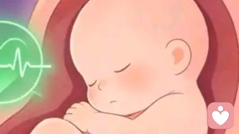 消失的双胞胎