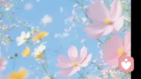 灾后群众的心理急救支持