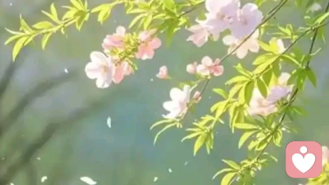 心理急救志愿者