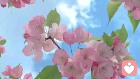 我想要快乐？
