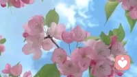 我想要快乐？