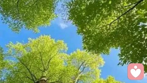 生活中的苦集灭道