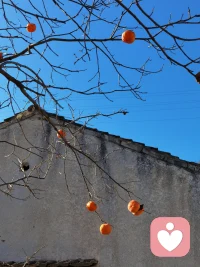 别让“求全”，慢慢消耗了你
 
“委曲求全”这个词，细细琢磨很有意思。很多人觉得委屈是别人造成的，其实根源常常藏在自己的“求全”里。
 我们总希望把人际关系照顾周全，让所有人都满意，谁都不要讨厌自己。可一旦心里抱着这份求全的期待，就会不自觉退让，把自己真实感受压下去。
 委屈都是一点点积攒出来的。每一次为了顾及别人，忽略自己内心，心里就多憋下一丝情绪。但现实很难做到面面俱到，当付出得不到期待的善待，疲惫、失落与委屈就会全部涌上心头。
不必强求把所有人都照顾圆满。允许关系留有缺憾，也允许有人不喜欢你。少一点求全执念，内心就会少很多委屈，把精力留给真正值得的人和事。
 
委屈不全是外界强加，而是总想做到面面俱到。
我是云英。一个喜欢观云的倾听者。期待和您的沟通
