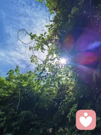 别让“求全”，慢慢消耗了你
 
“委曲求全”这个词，细细琢磨很有意思。很多人觉得委屈是别人造成的，其实根源常常藏在自己的“求全”里。
 我们总希望把人际关系照顾周全，让所有人都满意，谁都不要讨厌自己。可一旦心里抱着这份求全的期待，就会不自觉退让，把自己真实感受压下去。
 委屈都是一点点积攒出来的。每一次为了顾及别人，忽略自己内心，心里就多憋下一丝情绪。但现实很难做到面面俱到，当付出得不到期待的善待，疲惫、失落与委屈就会全部涌上心头。
不必强求把所有人都照顾圆满。允许关系留有缺憾，也允许有人不喜欢你。少一点求全执念，内心就会少很多委屈，把精力留给真正值得的人和事。
 
委屈不全是外界强加，而是总想做到面面俱到。
我是云英。一个喜欢观云的倾听者。期待和您的沟通