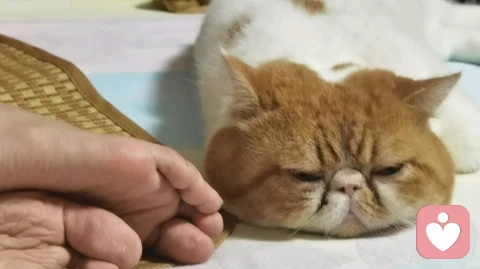 爱自己的三层境界