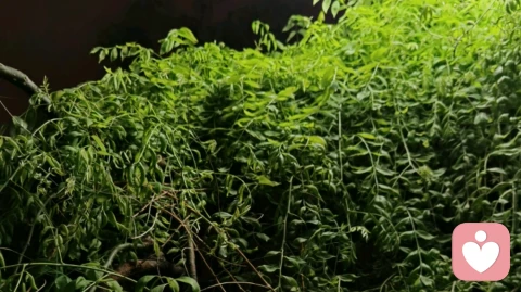 内心稳的人都有这三种能力