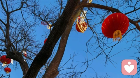 不必非要一个说法